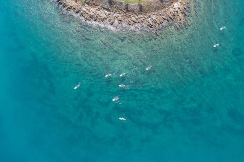 Rixos Premium Bodrum – Billeder 3