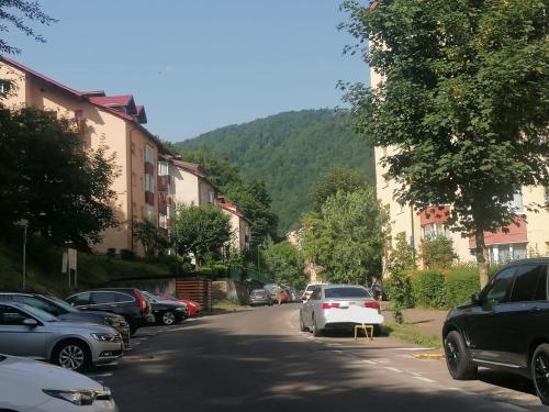 a street with cars parked on the side of the road at Apartament Racadau in Braşov