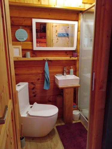 ein kleines Bad mit WC und Waschbecken in der Unterkunft Osada Kabardia in Nowica