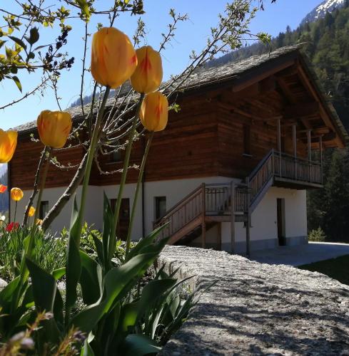 a log house with a balcony and orange flowers at B&B Lorelei in Gressoney-Saint-Jean