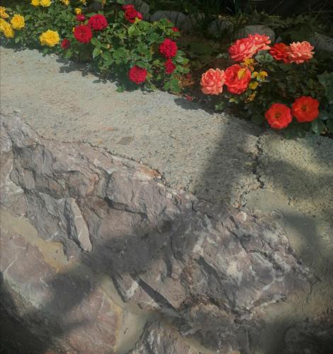 a bunch of flowers in a flower garden at Etno house HAPPY VILLAGE in Cetinje