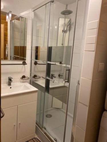 a bathroom with a shower and a sink at gite moya in Gérardmer