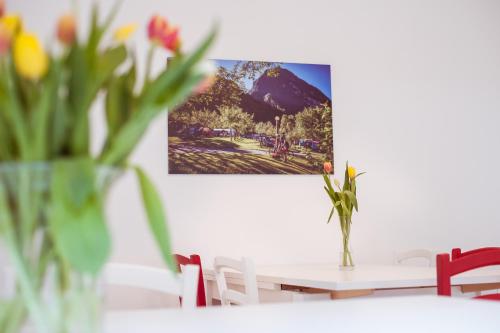 Ảnh trong thư viện ảnh của Campingplatz Mittagsspitze ở Triesen