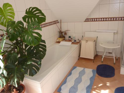 a bathroom with a tub and a table and a plant at Ferienwohnung Aschka in Schönsee