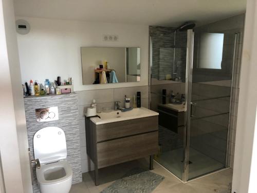 une salle de bain avec une douche, un lavabo et des toilettes dans l'établissement Maison entre Golfe du Morbihan et Presqu'île de Rhuys, à Surzur