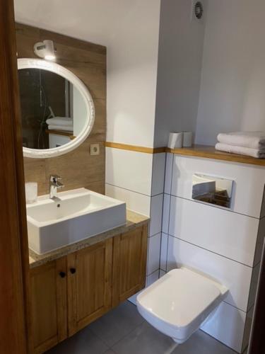 a bathroom with a sink and a toilet and a mirror at Folwark Pod Dębem in Nowa Karczma