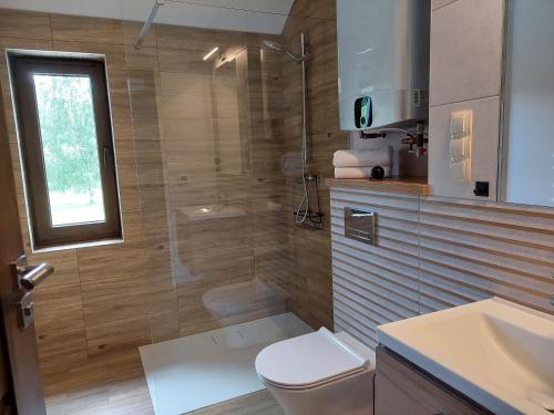 a bathroom with a toilet and a shower and a sink at Willa Na Pstrążnicy in Kudowa-Zdrój