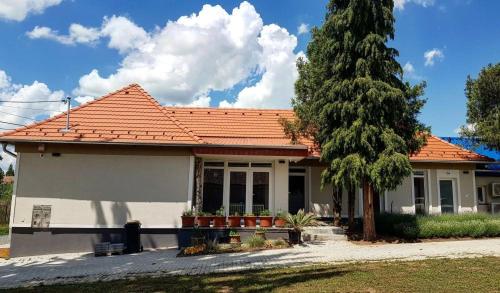Dióliget 8342 Óhíd, 158 Kossuth út kép - 3