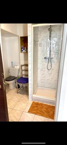 une salle de bain avec douche et toilettes dans l'établissement Bel Appartement - HYPER CENTRE - 2 pièces, à Cannes