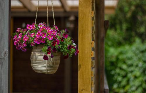 a hanging basket with pink flowers in it at Rosenhill Bed & Breakfast in Grebbestad
