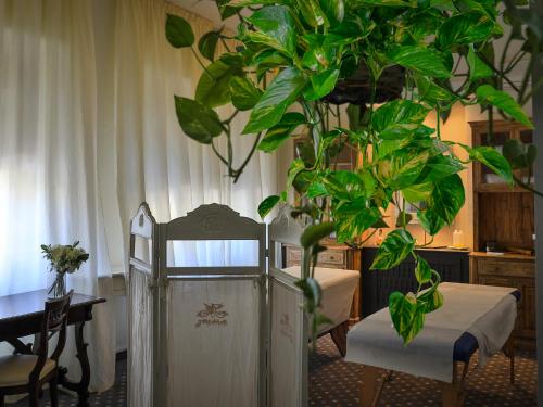 a plant in a room with a bed and a table at Hotel Tigullio Et De Milan in Santa Margherita Ligure