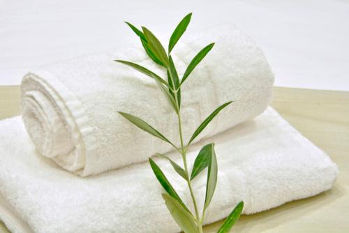 Biały ręcznik z rośliną rosnącą z niego w obiekcie NV LUXURY RESIDENCE w Korfu