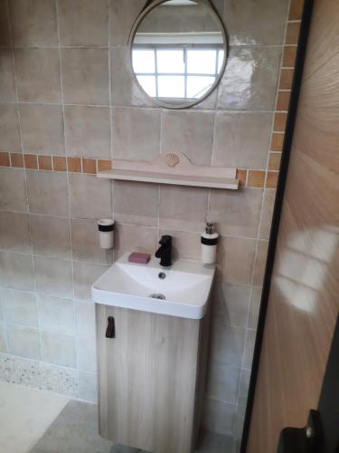a bathroom with a sink and a mirror at Les Deux Tilleuls in Sablet