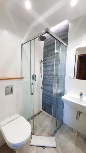 a bathroom with a shower and a toilet and a sink at Willa Abrazja - wypoczynek dla dorosłych in Jastrzębia Góra