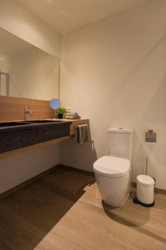 a bathroom with a toilet and a sink at Vakantiewoning Nr63 in Brakel