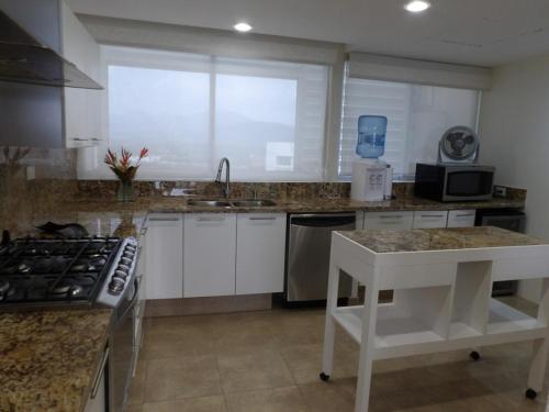 Beachfront PH Amara Ixtapa – Photos 2