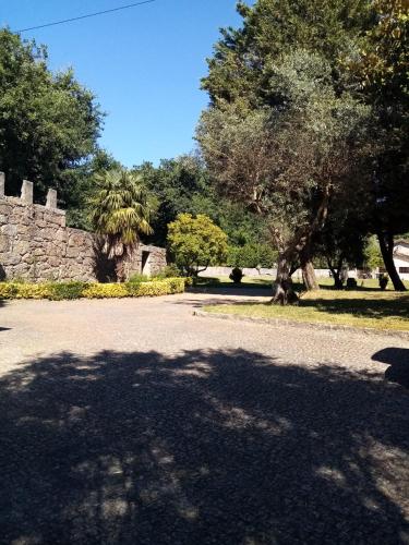 a shadow of a tree on a road at Quinta do Carvalho - Nature Guest Houses in Guimarães
