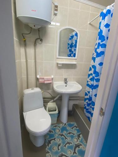 a small bathroom with a toilet and a sink at Номера в Фонтанке in Fontanka
