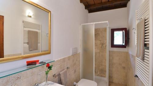 ein Bad mit einer Dusche, einem WC und einem Waschbecken in der Unterkunft Raffaello in Gaiole in Chianti