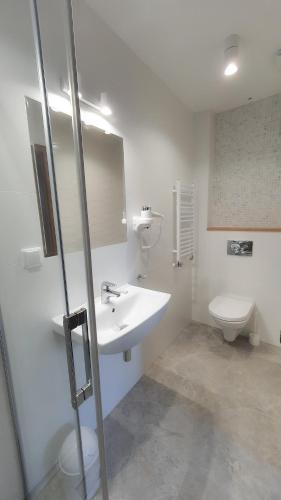 a bathroom with a sink and a toilet at Willa Abrazja - wypoczynek dla dorosłych in Jastrzębia Góra