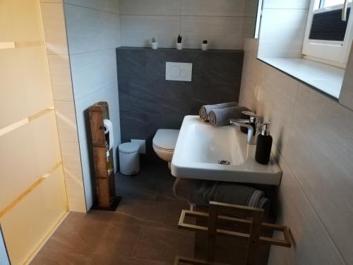 a bathroom with a white sink and a toilet at Haus Horvath Bett und Brot in Altaussee