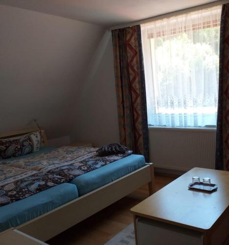 Gallery image of Penzion U Štoly Jáchymov in Jáchymov