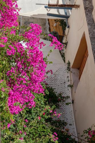 a bunch of pink flowers on a building at Theogonia in Ermoupoli