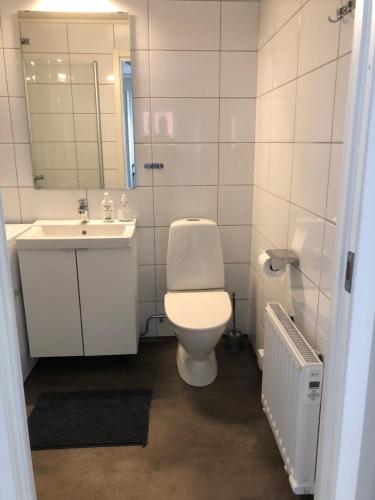 a bathroom with a toilet and a sink and a mirror at Rämsbyns fritidsby, nära Romme Alpin in Idkerberget
