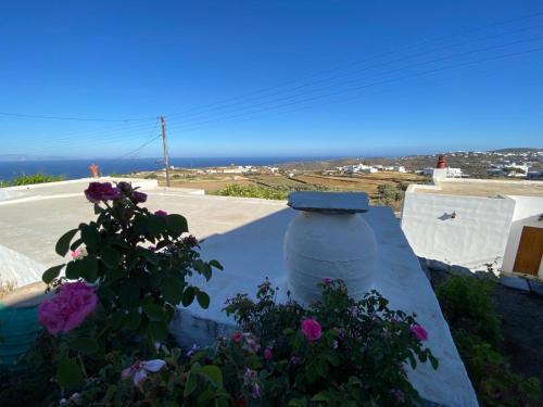 a large vase sitting on a wall with flowers at Ninemia Apartment in Artemonas