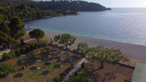 an aerial view of a beach with trees and umbrellas at Pelagos Beachfront in Panormos Skopelos