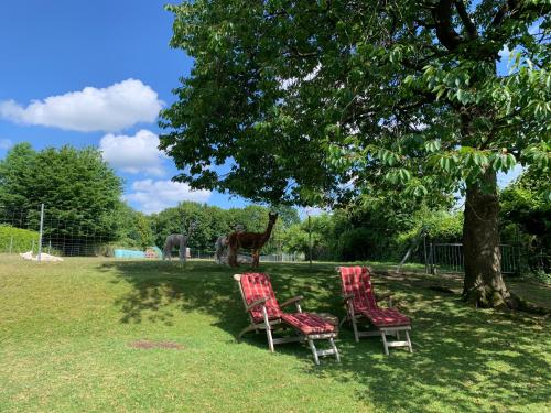 two chairs under a tree with a giraffe in the background at Ferienwohnung Landfein in Quarnstedt