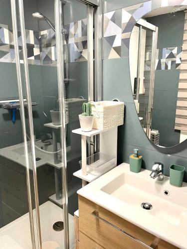 une salle de bain avec un lavabo et un miroir dans l'établissement Petit cocon au cœur d'Annecy, à Annecy