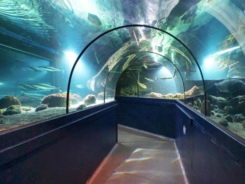a tunnel in an aquarium with fish in it at 4 person holiday home in LYSEKIL-By Traum in Lysekil