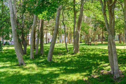 a park with trees and a bench in the grass at Captains Quarters Motel & Conference Center in Eastham
