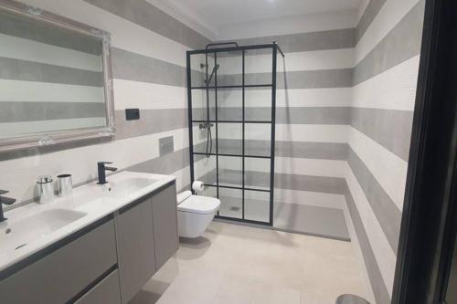 ein Bad mit einem WC, einem Waschbecken und einer Dusche in der Unterkunft Duplex con terraza in Ponte Do Porto