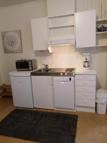 Dapur atau dapur kecil di Fredheimbrygga