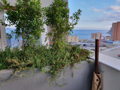 a balcony with trees and plants on a building at Sunset Waves Benidorm by KalmaRent in Benidorm