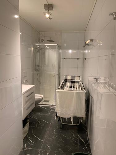 Kúpeľňa v ubytovaní Stryn Crystal Apartments B, Waterfront Apartment