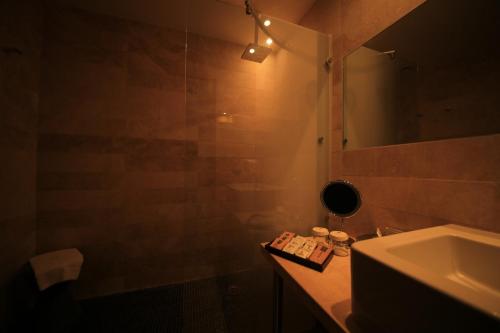 bagno con doccia, lavandino e specchio di Hotel Delle Terme Di Venturina a Venturina Terme
