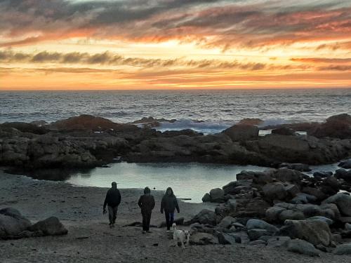 three people walking on a beach with a dog at El Rincon de Las Pleyades in El Quisco