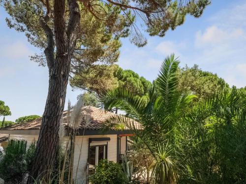 een huis met een boom ervoor bij Lavender holiday home with private terrace in Grimaud