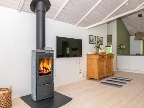 TV a/nebo společenská místnost v ubytování 6 person holiday home in Højslev-By Traum