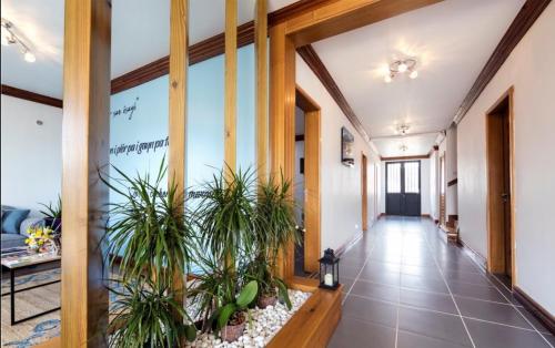 a hallway with potted plants in a building at Côté Volcan in La Plaine des Cafres