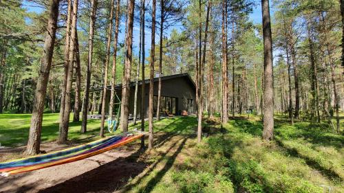 a hammock in the middle of a forest with trees at Sea House Dzelmes in Mazirbe