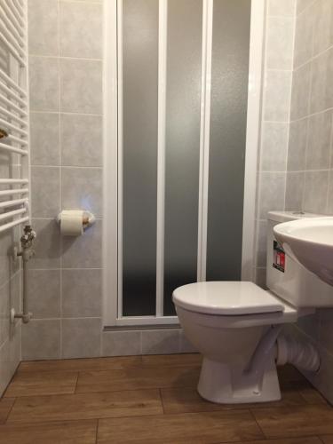 a bathroom with a toilet and a sink at Penzion Na Vyhlídce in Frýdlant nad Ostravicí