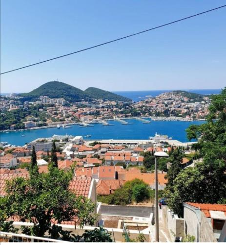 SEA VIEW FROM THE HILL
