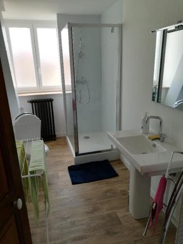 uma casa de banho com um chuveiro, um lavatório e um espelho. em Bruneval lodge em Dunkerque
