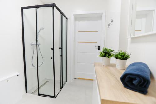 a bathroom with a glass shower with two potted plants at M&K Apartamenty Cztery Brzozy - Wyspa Sobieszewska in Gdańsk