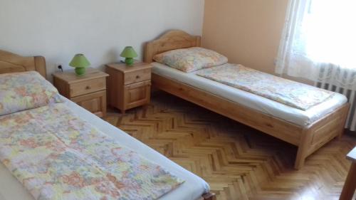 1 dormitorio con 2 camas y 2 mesitas de noche en Tiszafa Apartman en Csopak