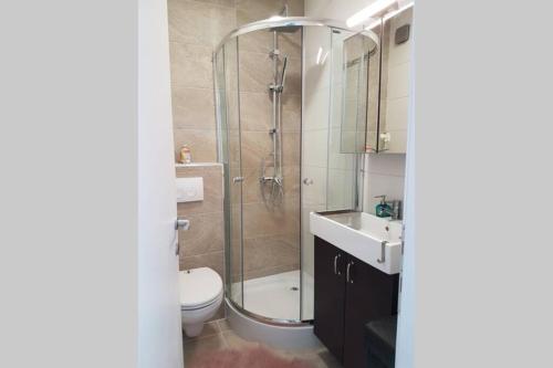 a bathroom with a shower and a toilet and a sink at Living Home, apartament cu două dormitoare și două băi in Cisnădie